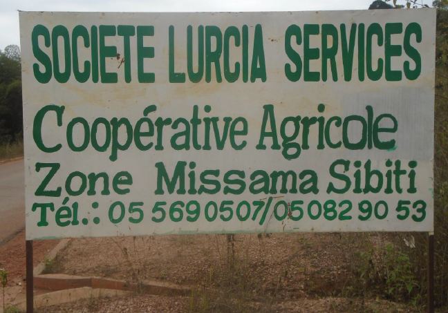 Lurcia Services, une société (appartenant à Henri Sassou Nguesso) aux pratiques illicites